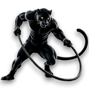 Black Panther Heavy Flow Rope - 24mm, 1.25 kg-1